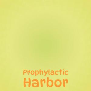 Prophylactic Harbor