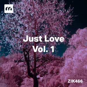 Just Love, Vol. 1