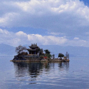 愿与愁