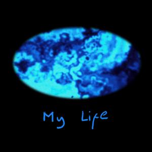 My Life (Explicit)