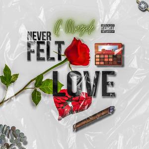 Never Felt Love (Explicit)