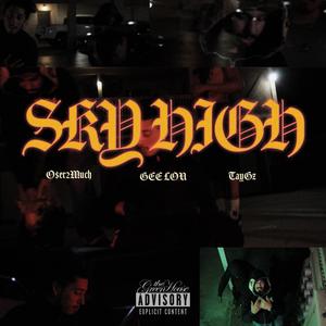 SKY HIGH (feat. TAYGZ & OSER2MUCH) (Explicit)
