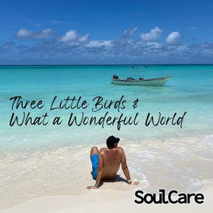 Three Little Birds / What a Wonderful World