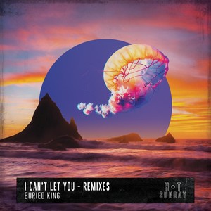 I Can't Let You (Remixes)