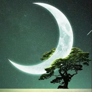 夜听:爱久见人心-夜听 久晨