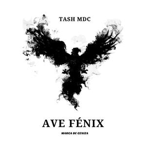 YA NO ESTÁS (feat. 4lone label & charliee.mdc) (Explicit)