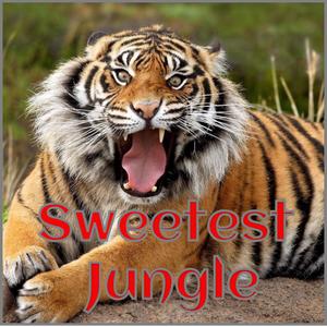 Sweetest Jungle