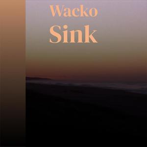 Wacko Sink