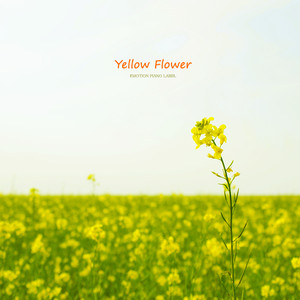 Yellow Flower