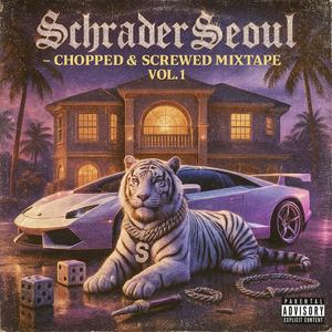 How Many Times (feat. Lil Sodi, P Thrizzle & Boogie Stone) ($ped Up) (Explicit)