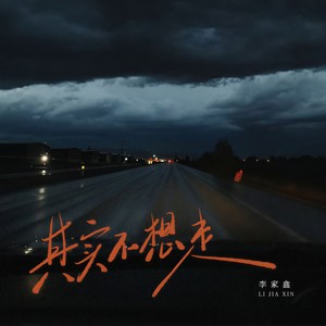 其实不想走 (DJ豪大大版)