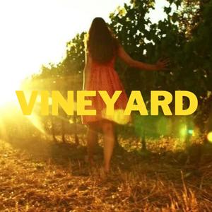 Vineyard (feat. Céline Bode, Dimitris Bouzis & Joao Cabrita)