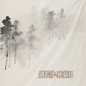 别长沙