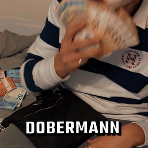 Dobermann (Explicit)