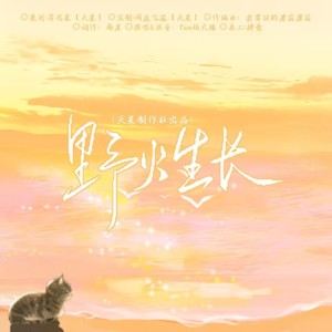 野火生长 (伴奏)