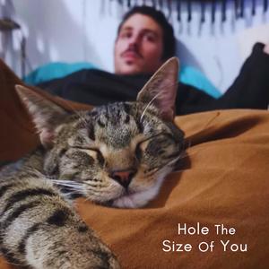 Hole the Size of You (feat. Tommy Mantra)