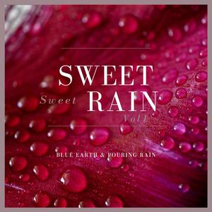 Sweet Sweet Rain, Vol. 1