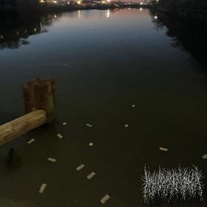 Reflections (Explicit)