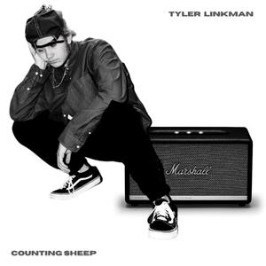 Counting Sheep (Explicit)