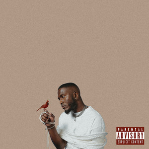Sonar 2 (Explicit)