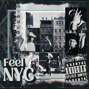Feel NYC (feat. pelco) (Explicit)