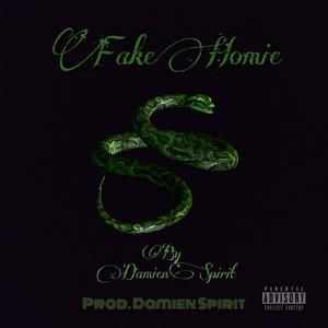 Fake Homie (Explicit)