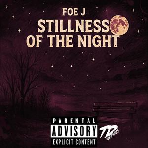 Stillness Of The Night