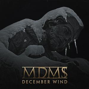 December Wind (Explicit)