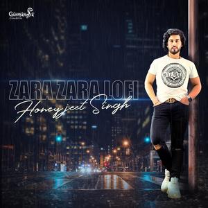 ZARA ZARA LOFI COVER