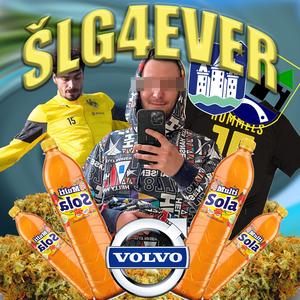 ŠLG4EVER