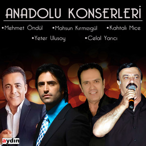 Anadolu Konserleri