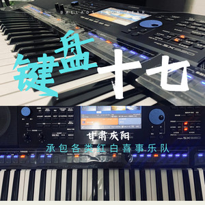 祝福 (电子琴版)封面