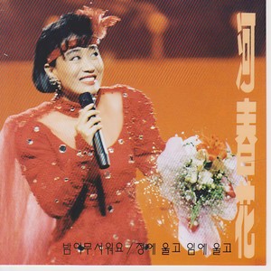 이별의 국제공항 (离别的国际机场)