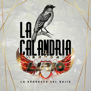 La Calandria