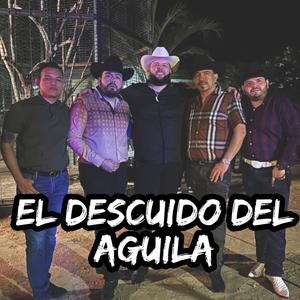 El Descuido Del Águila