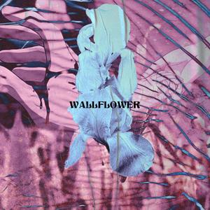 Wallflower (Explicit)