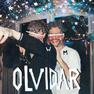 Olvidar