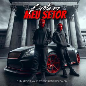 Brota No Meu Setor (feat. Mc Rodrigo da CN) (Explicit)