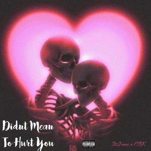 Didn't Mean To Hurt You (feat. itsJUNE) (Explicit)