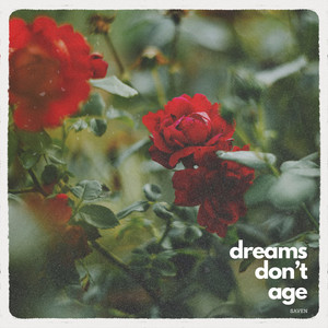 Dreams Don’t Age (Radio Edit)
