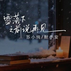 雪落下之前说再见