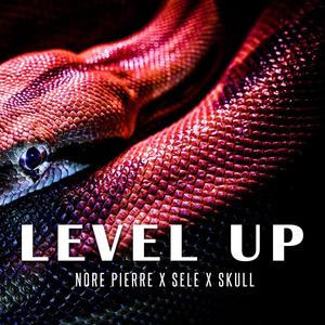 Level Up(feat. Sele & skull) (Explicit)