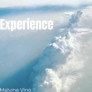 Experience (Explicit)