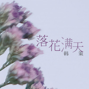 落花满天