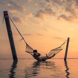 Soft Healing Hop Vibes