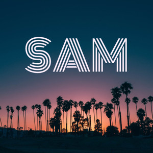 SAM (Explicit)