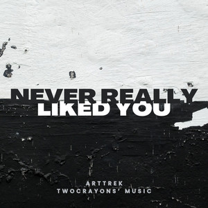 Never Really Liked You (Explicit)