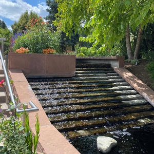 Swim (feat. Teeco) (Explicit)