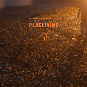 Perceiving