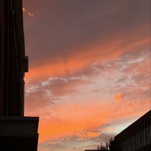 请你一起看日落 (Demo)